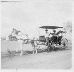 Fort Brown parade grounds, family on horse carriage