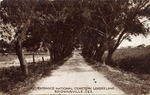 Brownsville National Cemetery entrance, Lovers' lane