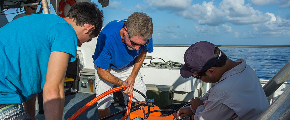 School of Earth, Environmental, and Marine Sciences Faculty Publications and Presentations