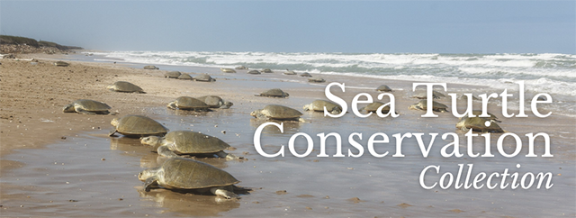 Sea Turtle Conservation Collection