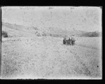 [Kansas] Photograph of wheat reaper pulled by horses