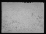 [Kansas] Photograph of a home surrounded by trees