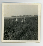 [People] Photograph of migrants doing fieldwork in Michigan