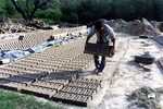 [Reynosa, CAV-Arriaga] Photograph of Brick Molder Releasing a Wet Brick from Its Mold - 01 by Scott Cook