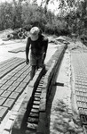 [Reynosa, CAV-Arriaga] Photograph of Worker Stacing Semi-Dried Bricks for Drying by Scott Cook
