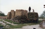 [Reynosa, CAV-Arriaga] Photograph of Workers Unloading Firewood Delivery for Brick Kiln Firing by Scott Cook