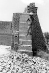 [Reynosa, CEB] Photograph of Venustiano Tano Arriaga Surveying Brick Plant Activity by Scott Cook