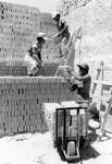 [Reynosa, CAV-Arriaga] Photograph of Tano Arriaga and Sons Unloading Fired Bricks by Scott Cook