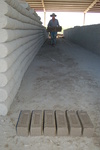 [Reynosa, ELL-New] Photograph of Manuel Pasilla Transporting a Filled Mold to the Drying Ground by Scott Cook
