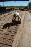 [Reynosa, ELL-New] Photograph of Juan Garza Preparing to Release a Wet Brick onto the Drying Ground by Scott Cook
