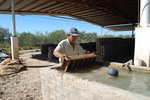 [Reynosa, ELL-New] Photograph of Juan Garza Washing a Brick Mold After Use by Scott Cook