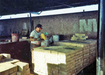 [CMA-Reynosa, Deind] Photograph of an Alternate View of an Abandoned Ladrillera Transitioning to a Dump Site by Scott Cook