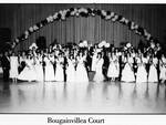 Bougainvillea Court, 1987 by Texas Southmost College