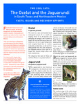 Two Cool Cats: The Ocelot and the Jaguarundi in South Texas and Northeastern Mexico
