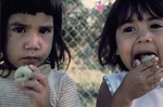 Young girls eating plums