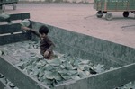 Young child separating cabbage on truck