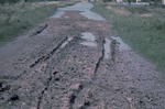 Muddy road