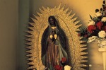 Virgin Mary 03