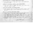 Mexican Border War Records, Brownsville District, 1916 - 014