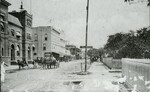 [Brownsville] Photograph of Elizabeth Street