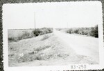 [Alamo] Photograph of South Alamo Road Before Construction