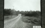 [Alamo] Photograph of Santa Ana Wildlife Refuge