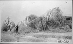 [Alamo] Photograph of Ice Storm