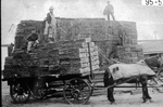 [Industry] Photograph of Men Standing on Wood Shingles