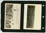 Onion Crop, Frank Flores and Field Workers