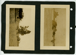 Rural Landscape and Vegetation Scenes