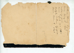 Lyngaas Family Birth Record Page