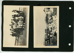 Gatherings and an Outdoor Picnic