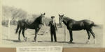Page 91, John R. Peavey pictured with Border Patrol horses by John R. Peavey