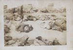 A closeup of bodies at Dachau
