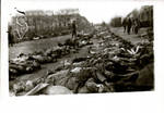 Allied troops among the dead in Dachau