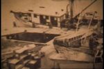 [LDV Project Archive] Shrimp Industry Pictures