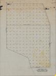 Contour Map: Farm Tract 2271 [Mercedes, Texas] by American Rio Grande Land and Irrigation Company