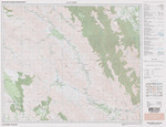 Carta Topografica Nuevo Leon, Rayones G14C46, 1995