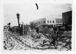 [San Benito] Photograph of man in suit and hat looking at cactus by Harry Foehner