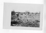 [Brownsville] Photograph of clearing and grubbing floodway