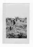 [Brownsville] Photograph of workers clearing Tamaulipan Thornscrub