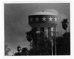 [TSC] Photograph of Brownsville Water Tower painted for US 200th anniversary