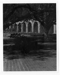 [TSC] Photograph of rear view of Gorgas Hall