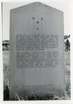 [Boca Chica] Photograph of Palmetto Piling Texas Centennial Marker