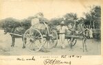 [Brownsville] Postcard showing piperos, water carts, and donkeys