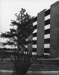 [McAllen] Photograph of Apartment Building