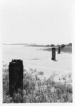[Boca Chica] Photograph of Palmetto pilings