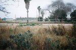 [Edinburg] Photograph of Cemetery Field
