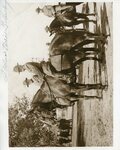 [Brownsville] Photograph of Cavalry Soldiers on Horses