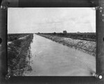 [Shary] Photograph of Earthen Canal with Crops and House